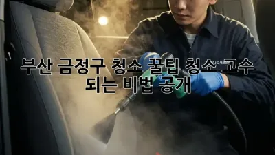 부산 금정구 청소 꿀팁🍯: 청소 고수 되는 비법 공개!
